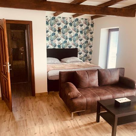 Apartmany Zupanovice Dobris Bagian luar foto